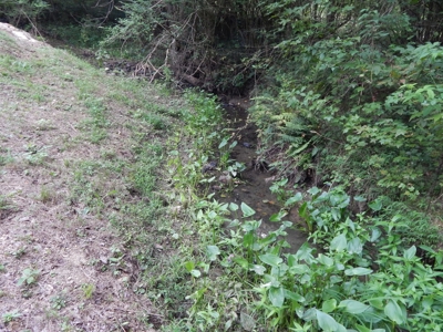 1997 Clayton Mobile Home on .48 Acre with a Stream! - image 36
