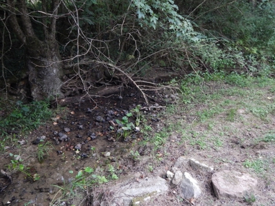 1997 Clayton Mobile Home on .48 Acre with a Stream! - image 38