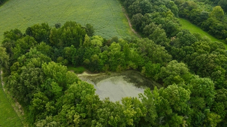 Prime Land Development Opportunity for Sale in Medina, TN - image 12