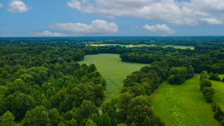 Prime Land Development Opportunity for Sale in Medina, TN - image 1