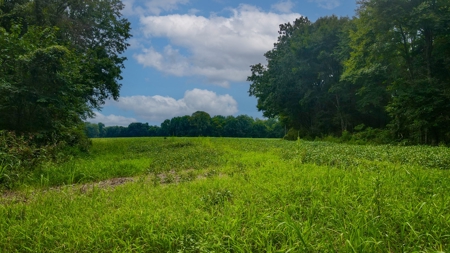 Prime Land Development Opportunity for Sale in Medina, TN - image 16