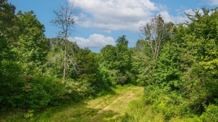 Prime Land Development Opportunity for Sale in Medina, TN - image 3