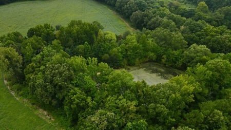 Prime Land Development Opportunity for Sale in Medina, TN - image 13