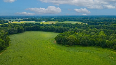 Prime Land Development Opportunity for Sale in Medina, TN - image 15