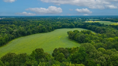 Prime Land Development Opportunity for Sale in Medina, TN - image 14