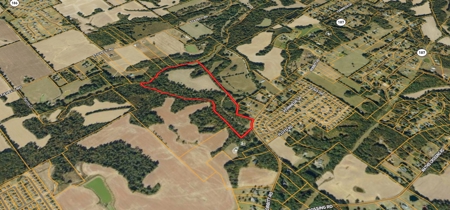 Prime Land Development Opportunity for Sale in Medina, TN - image 18