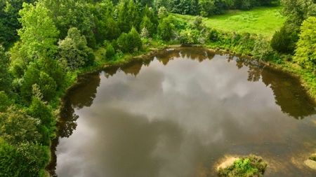 Prime Land Development Opportunity for Sale in Medina, TN - image 6