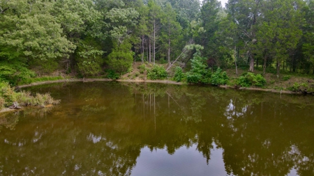Prime Land Development Opportunity for Sale in Medina, TN - image 5