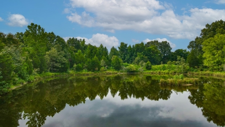 Prime Land Development Opportunity for Sale in Medina, TN - image 7