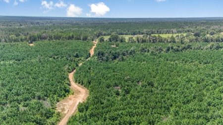 Turn Key Hunting Property in Amite County, MS - image 16