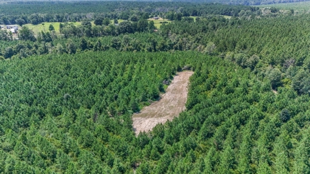Turn Key Hunting Property in Amite County, MS - image 23
