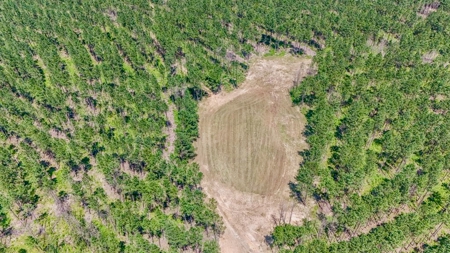 Turn Key Hunting Property in Amite County, MS - image 1