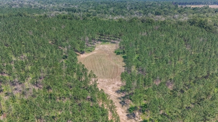 Turn Key Hunting Property in Amite County, MS - image 15