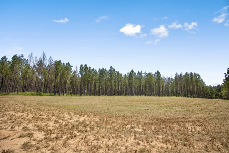 Turn Key Hunting Property in Amite County, MS - image 10