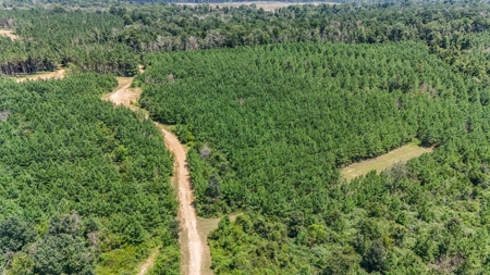 Turn Key Hunting Property in Amite County, MS - image 20