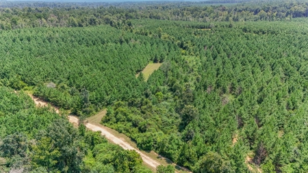 Turn Key Hunting Property in Amite County, MS - image 17