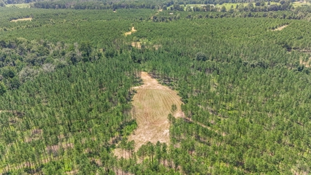 Turn Key Hunting Property in Amite County, MS - image 22