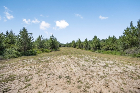 Turn Key Hunting Property in Amite County, MS - image 13