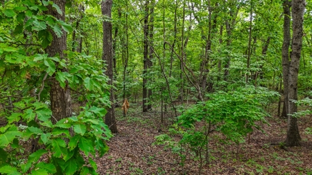 Home on 1.95 Acres in Gaston County NC - image 12