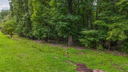 Home on 1.95 Acres in Gaston County NC - image 13