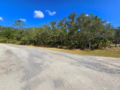 Land With Well, Septic, And Power For Sale In Steinhatchee - image 4