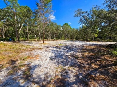 Land With Well, Septic, And Power For Sale In Steinhatchee - image 5