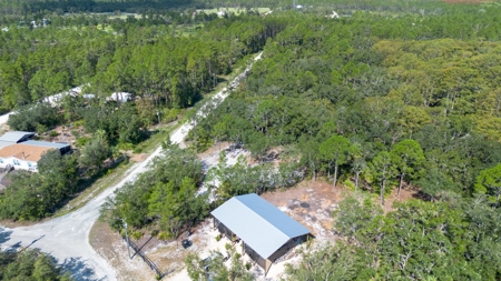 Land With Well, Septic, And Power For Sale In Steinhatchee - image 17