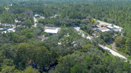Land With Well, Septic, And Power For Sale In Steinhatchee - image 18