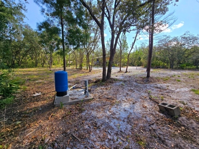 Land With Well, Septic, And Power For Sale In Steinhatchee - image 13