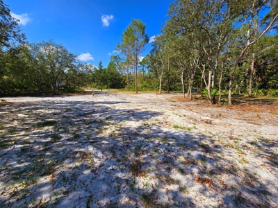 Land With Well, Septic, And Power For Sale In Steinhatchee - image 10