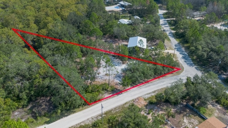 Land With Well, Septic, And Power For Sale In Steinhatchee - image 1