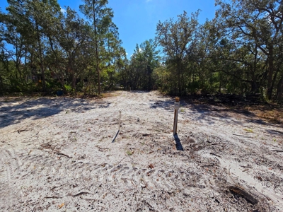 Land With Well, Septic, And Power For Sale In Steinhatchee - image 7