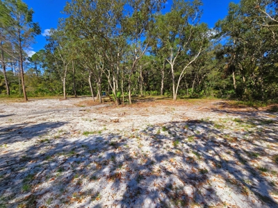 Land With Well, Septic, And Power For Sale In Steinhatchee - image 11