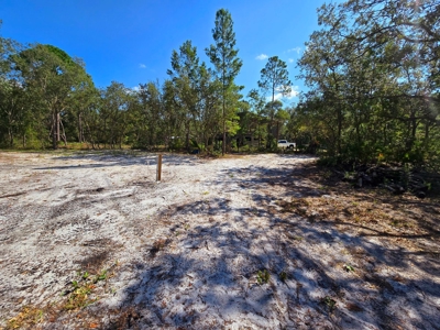 Land With Well, Septic, And Power For Sale In Steinhatchee - image 6