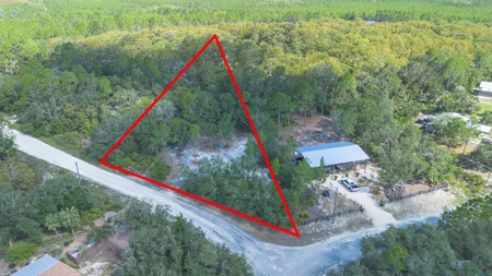 Land With Well, Septic, And Power For Sale In Steinhatchee - image 15