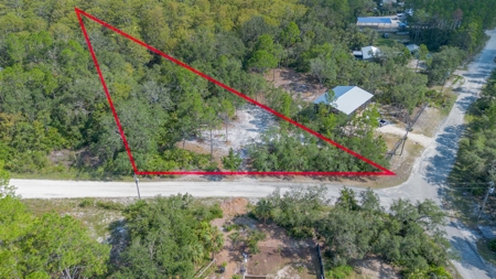 Land With Well, Septic, And Power For Sale In Steinhatchee - image 14