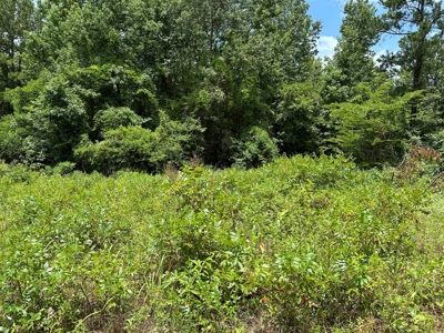 Rusk County Texas Recreational/Hunting Land For Sale - image 30