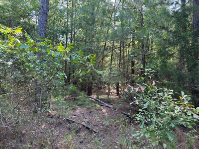 Rusk County Texas Recreational/Hunting Land For Sale - image 9