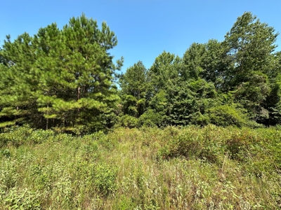 Rusk County Texas Recreational/Hunting Land For Sale - image 24