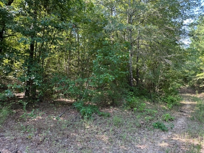 Rusk County Texas Recreational/Hunting Land For Sale - image 21
