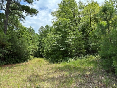 Rusk County Texas Recreational/Hunting Land For Sale - image 32
