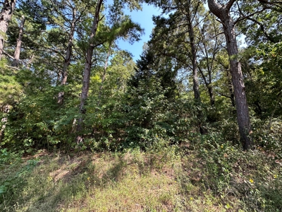 Rusk County Texas Recreational/Hunting Land For Sale - image 28