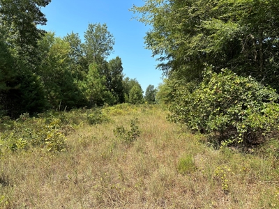 Rusk County Texas Recreational/Hunting Land For Sale - image 26