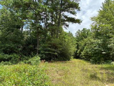 Rusk County Texas Recreational/Hunting Land For Sale - image 31