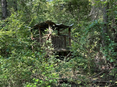 Rusk County Texas Recreational/Hunting Land For Sale - image 16