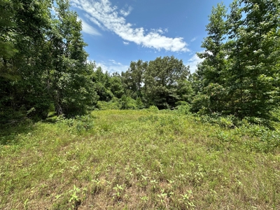 Rusk County Texas Recreational/Hunting Land For Sale - image 35