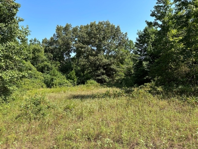 Rusk County Texas Recreational/Hunting Land For Sale - image 1