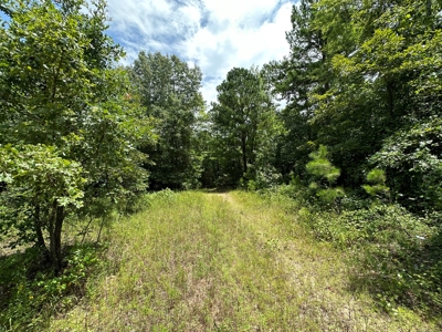 Rusk County Texas Recreational/Hunting Land For Sale - image 36