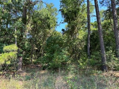 Rusk County Texas Recreational/Hunting Land For Sale - image 29