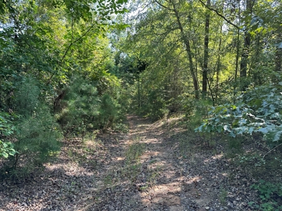 Rusk County Texas Recreational/Hunting Land For Sale - image 5